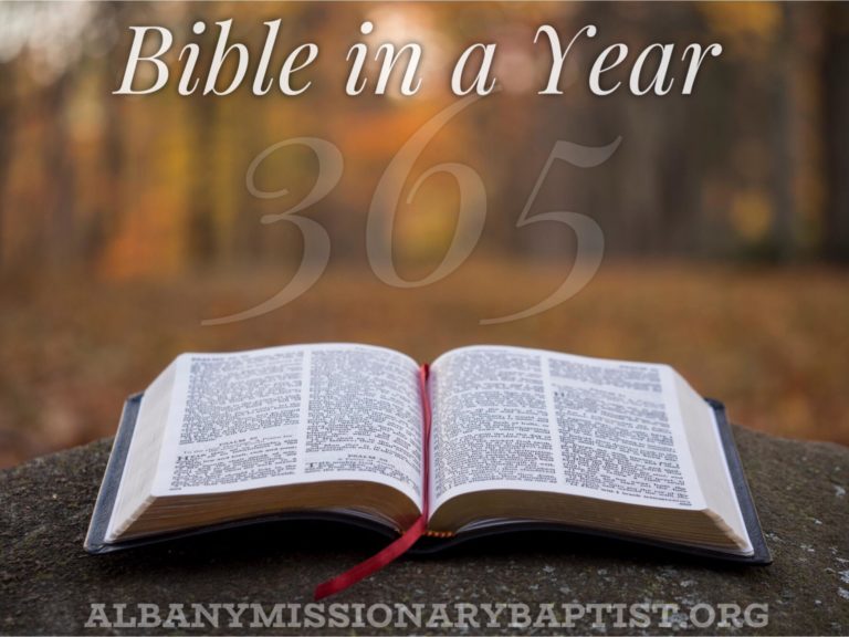 Bible In a Year365 Day Bible Reading Plan Albany Missionary Baptist